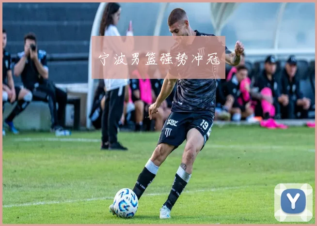 宁波男篮强势冲冠